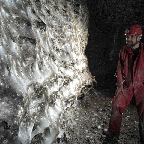 Ein Wissenschaftler vor dem riesigen Spinnennetz Foto: Marek Audy/Urak et al. 2025, Subterranean Biology, CC BY 4.0/dpa