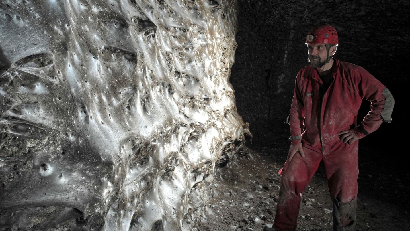 Ein Wissenschaftler vor dem riesigen Spinnennetz Foto: Marek Audy/Urak et al. 2025, Subterranean Biology, CC BY 4.0/dpa