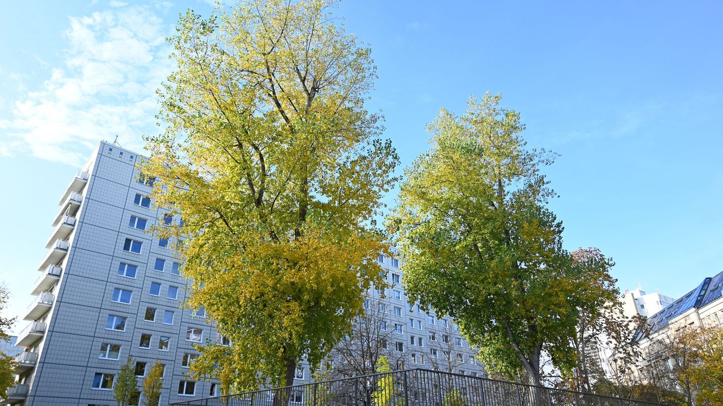 Klimapolitik: Verkehrsclub: Beim Baumgesetz Verkehrsplanung mitdenken
