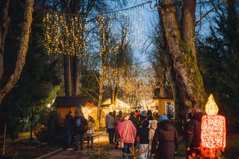 Dezember – da war doch was? Ach ja: Advent. Ein für die Jahreszeit passendes Reiseziel ist das oberösterreichische Steyr bei Linz. Dort gibt es einen Stadtteil namens Christkindl – ein alter Wallfahrtsort, an dem sich alles ums Weihnachtsfest dreht: Adventmärkte unter leuchtend geschmückten Tannen, ein Weihnachtsmuseum im mittelalterlichen Ambiente und natürlich das berühmte Postamt, das Millionen von Festtagsgrüßen verschickt. Und wem das zu viel der Besinnlichkeit ist, setzt sich in die Schmalspurbahn oder in den Postbus und blickt von Schloss Lamberg aus auf den Zusammenfluss von Steyr und Enns