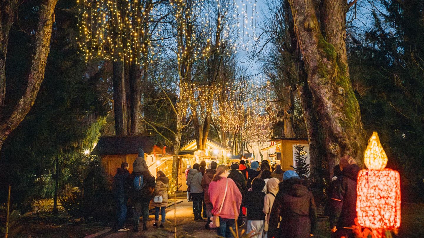 Dezember – da war doch was? Ach ja: Advent. Ein für die Jahreszeit passendes Reiseziel ist das oberösterreichische Steyr bei Linz. Dort gibt es einen Stadtteil namens Christkindl – ein alter Wallfahrtsort, an dem sich alles ums Weihnachtsfest dreht: Adventmärkte unter leuchtend geschmückten Tannen, ein Weihnachtsmuseum im mittelalterlichen Ambiente und natürlich das berühmte Postamt, das Millionen von Festtagsgrüßen verschickt. Und wem das zu viel der Besinnlichkeit ist, setzt sich in die Schmalspurbahn oder in den Postbus und blickt von Schloss Lamberg aus auf den Zusammenfluss von Steyr und Enns