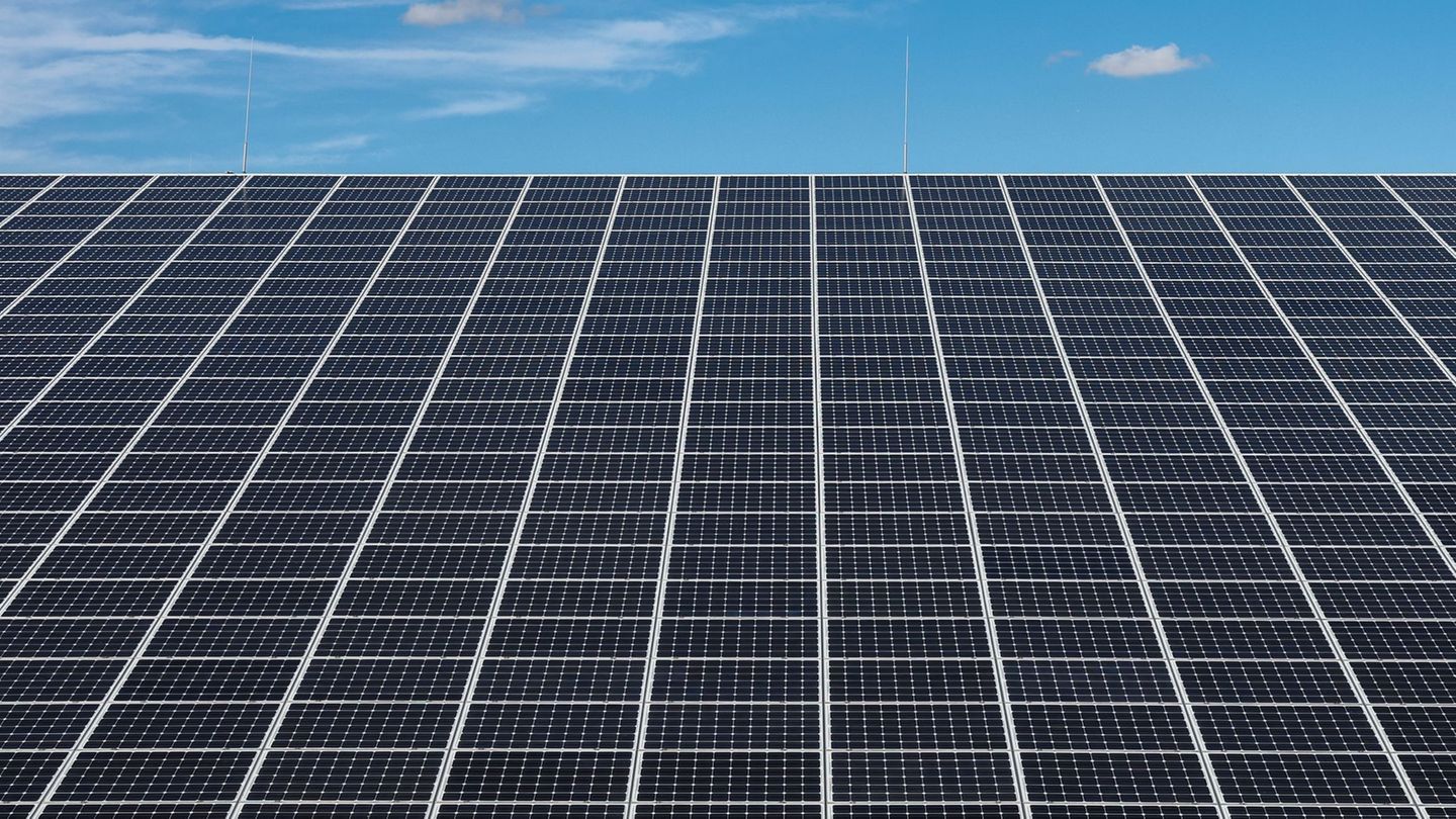 Bis zum 6. Februar 2026 können Interessierte online einen entsprechenden Antrag ausfüllen. (Symbolbild) Foto: Jan Woitas/dpa