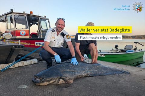 Der erlegte Wels vom Brombachsee