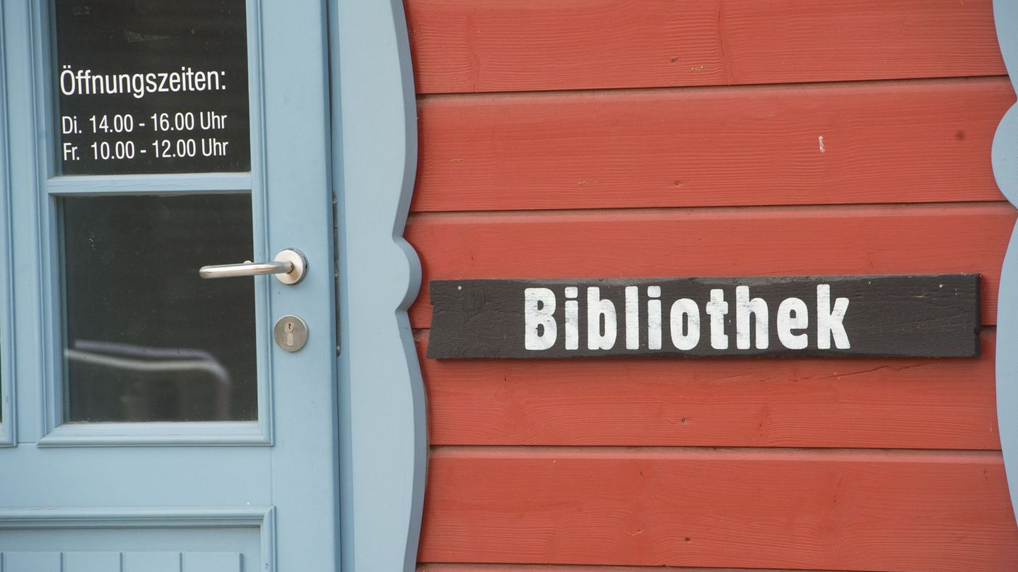 Am Mittwoch fand das Jahrestreffen des Landesverbandes Mecklenburg-Vorpommern im Deutschen Bibliotheksverband statt. (Archivbild