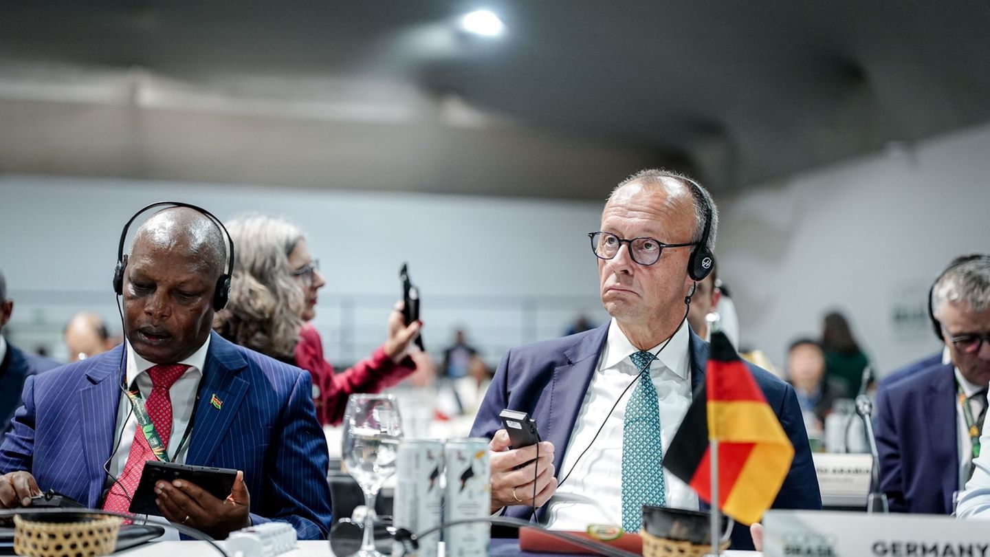 Klimakrise: Kanzler unterstützt milliardenschweren Tropenwald-Fonds