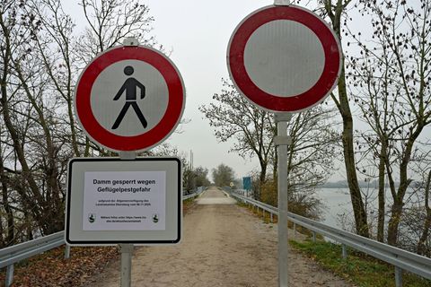 Das Landratsamt riet Spaziergänger zusätzlich zur Sperre dazu auf, das Gebiet zu meiden. Foto: Malin Wunderlich/dpa