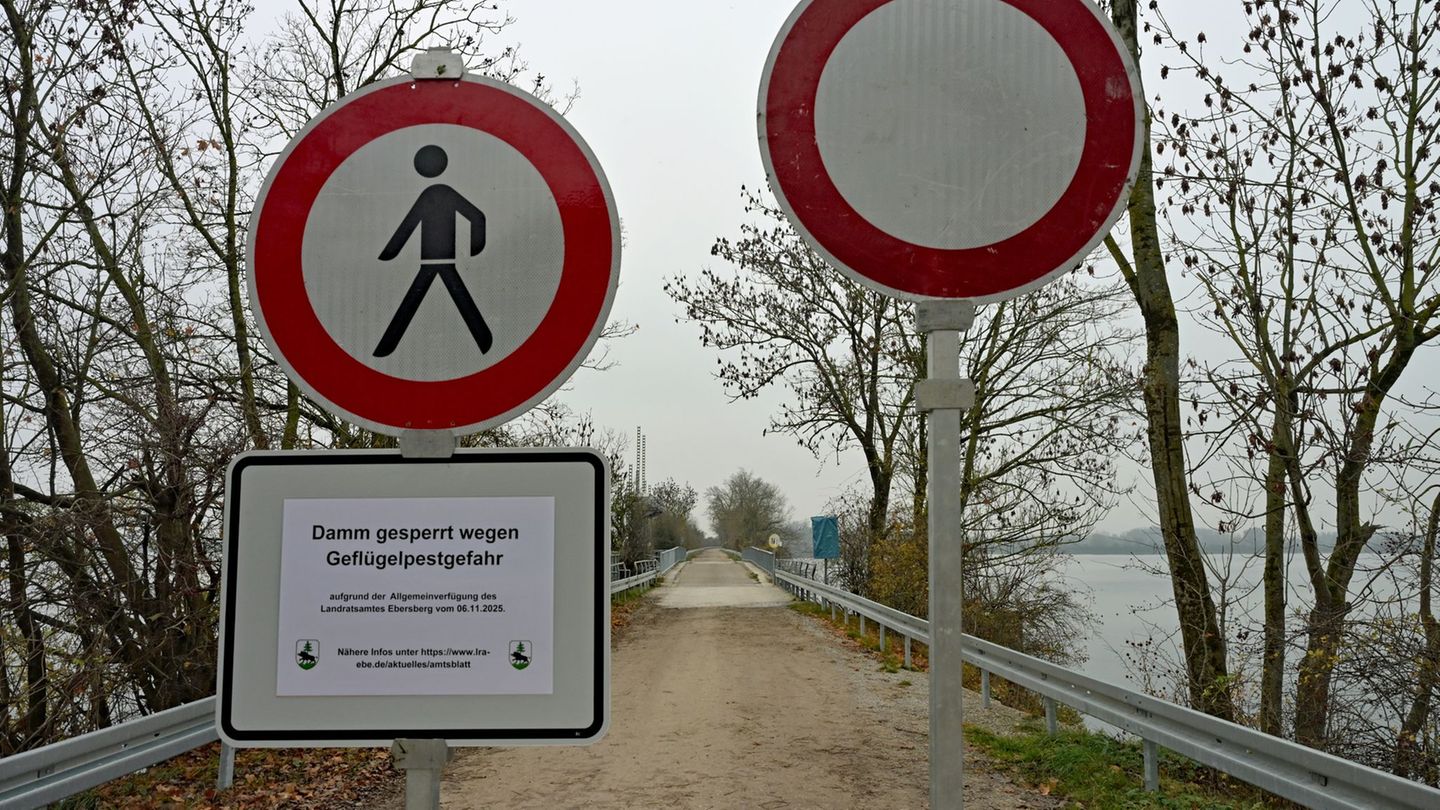 Das Landratsamt riet Spaziergänger zusätzlich zur Sperre dazu auf, das Gebiet zu meiden. Foto: Malin Wunderlich/dpa