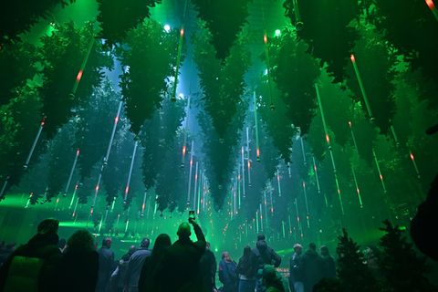 Auf 1.000 Quadratmetern gibt es über 600 schwebende Bäume und 250.000 Lichter. Foto: Elisa Schu/dpa