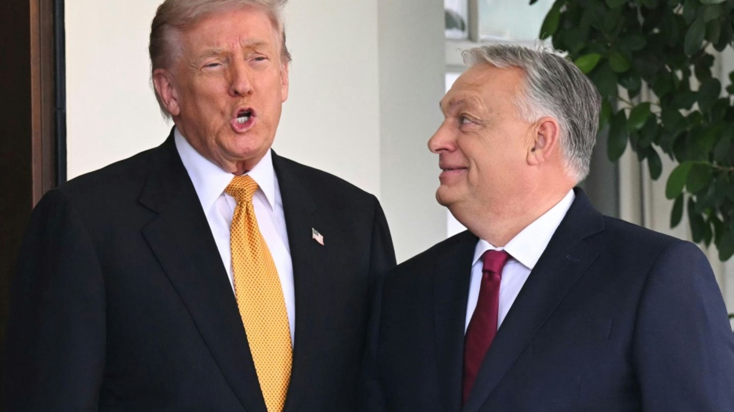 Trump und Orban vor dem Weißen Haus am 7. November