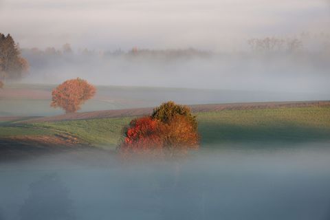 Der Nebel hält sich auch am Wochenende. (Archivbild) Foto: Thomas Warnack/dpa