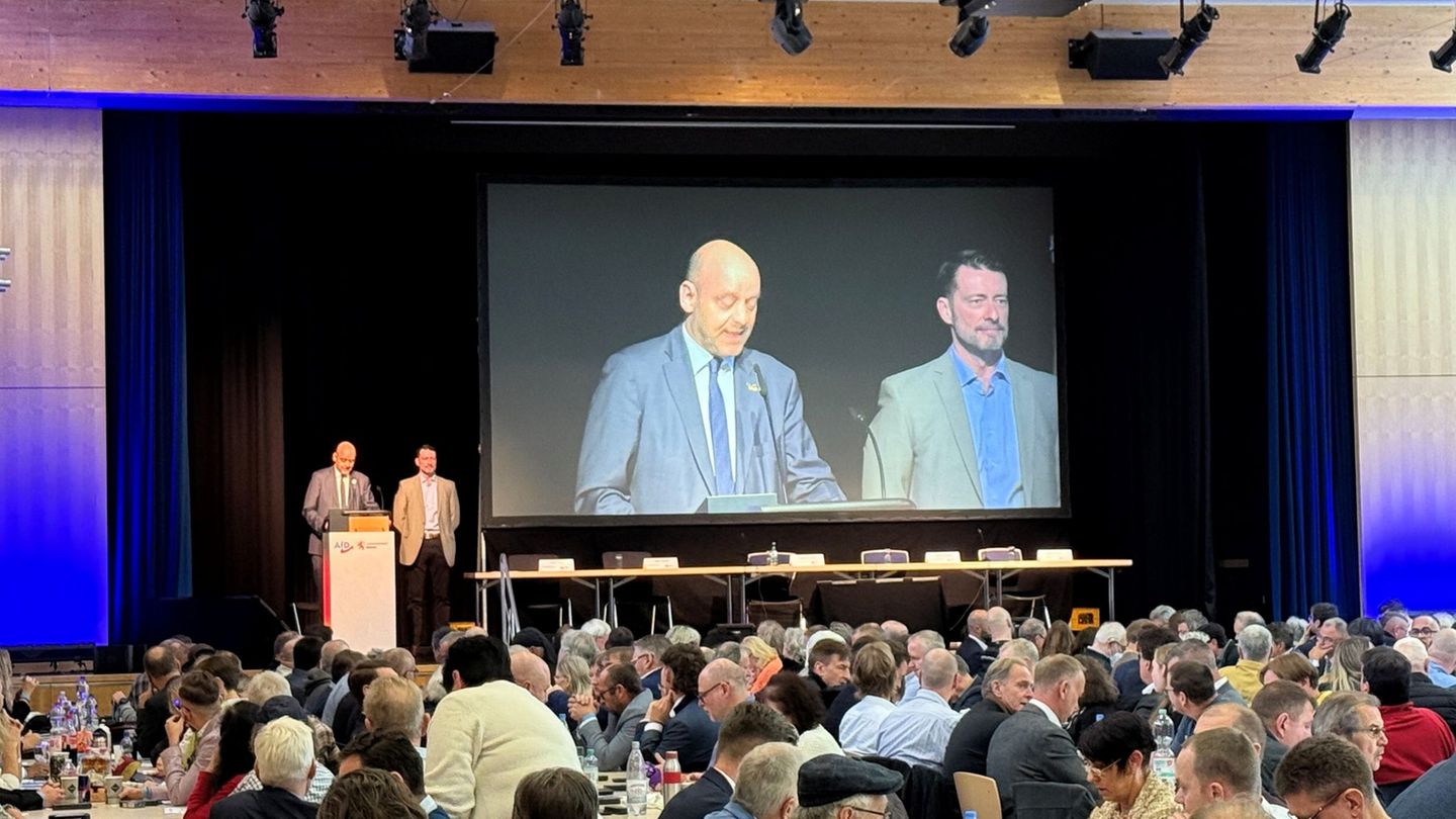 Die beiden Landessprecher Lambrou und Lichert treten bei dem AfD-Landesparteitag im osthessischen Neuhof zur Wiederwahl an. Foto