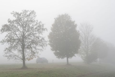 Nebel, Wolken und teilweise auch Regen: Am Wochenende und zum Start in die neue Woche zeigt sich typisch graues Novemberwetter i