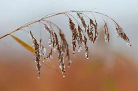 Am Montag und Dienstag ist es meist stark bewölkt, auch Nieselregen ist örtlich möglich, wie es hieß. Foto: Matthias Bein/dpa