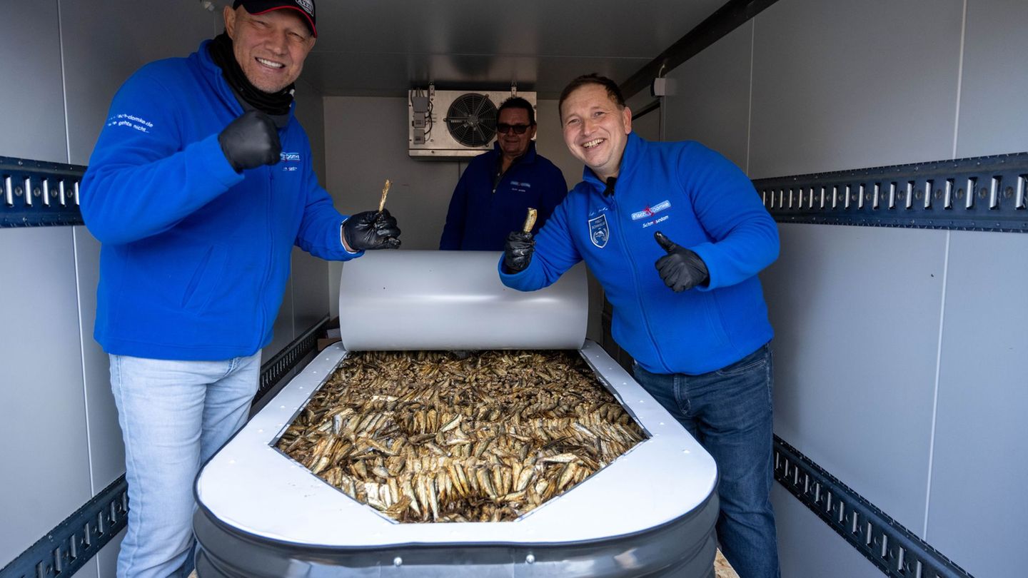 Weltrekord: Sprotten-Rekord in Heringsdorf – Spenden für Kinderhospiz