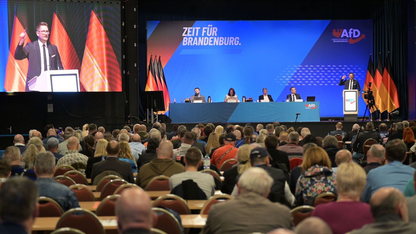 Die Brandenburger AfD hat nach strittiger Debatte eine neue Satzung beschlossen. Foto: Michael Bahlo/dpa
