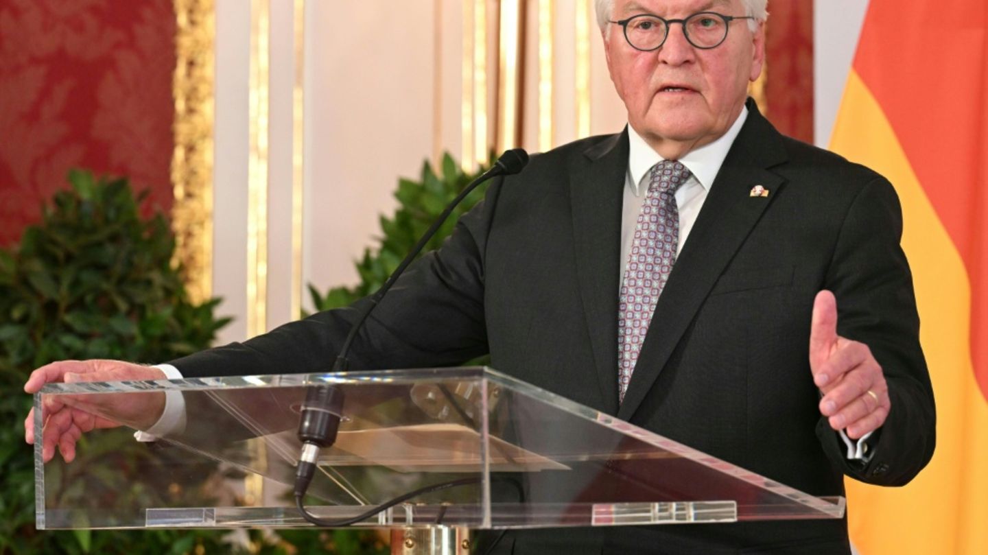 Bundespräsident Steinmeier