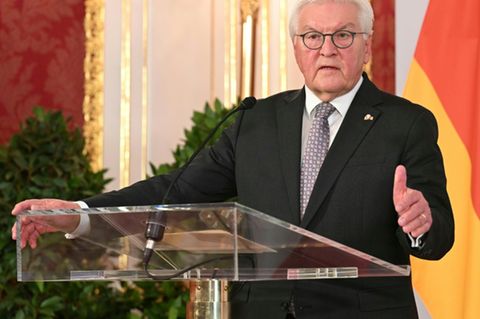 Bundespräsident Steinmeier