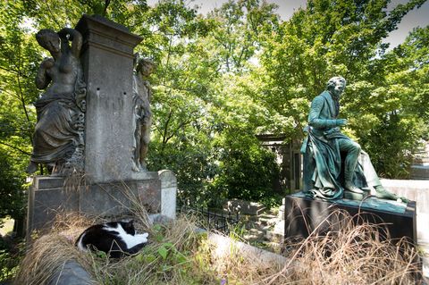 Historische Grabstätten auf Pariser Friedhöfen warten auf eine neue Nutzung. (Archivbild) Foto: picture alliance / dpa