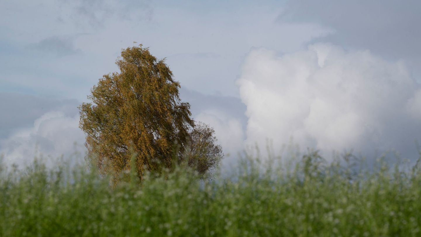 Das Wetter in Rheinland-Pfalz und dem Saarland bleibt herbstlich-trüb bei milden Temperaturen. (Symbolbild) Foto: Marijan Murat/