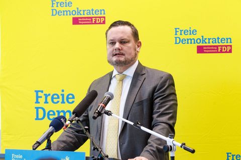 Der FDP-Landesvorsitzende René Domke und sein Landesvorstand haben bei einem Sonderparteitag einen Abwahlantrag nur knapp überst