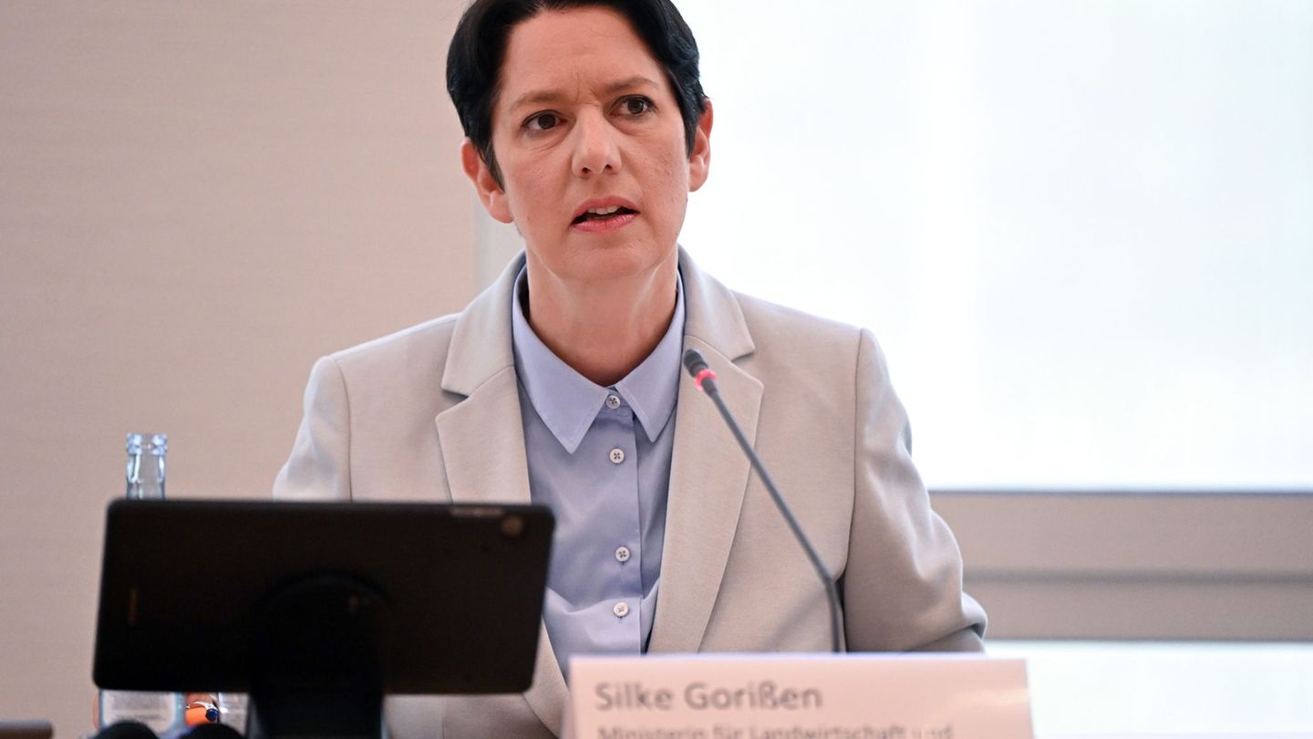 NRW-Agrarministerin Silke Gorißen stellt die Pflanzenschutz-Strategie vor. (Archivfoto) Foto: Federico Gambarini/dpa