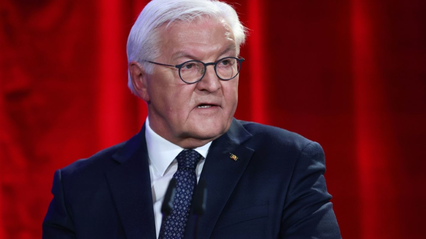 Bundespräsident Steinmeier