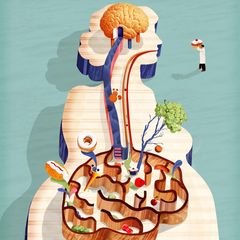 Über die Darm-Hirn-Achse kommunizieren kleine Organismen in unserem Darm mit unserem Gehirn