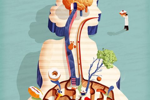 Über die Darm-Hirn-Achse kommunizieren kleine Organismen in unserem Darm mit unserem Gehirn