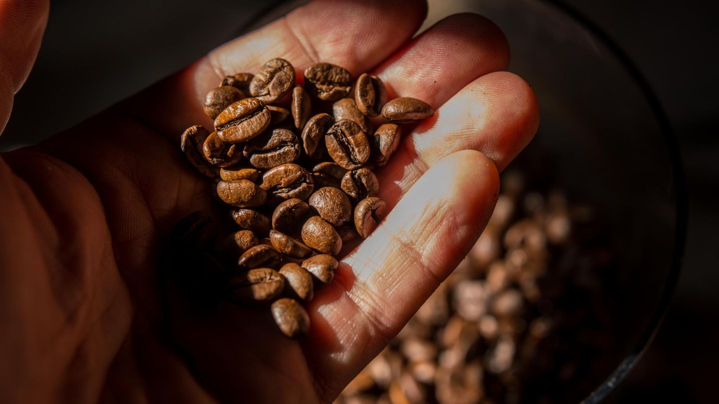 Kaffeebohnen in einer Hand