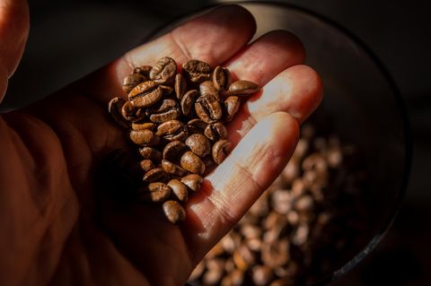 Kaffeebohnen in einer Hand