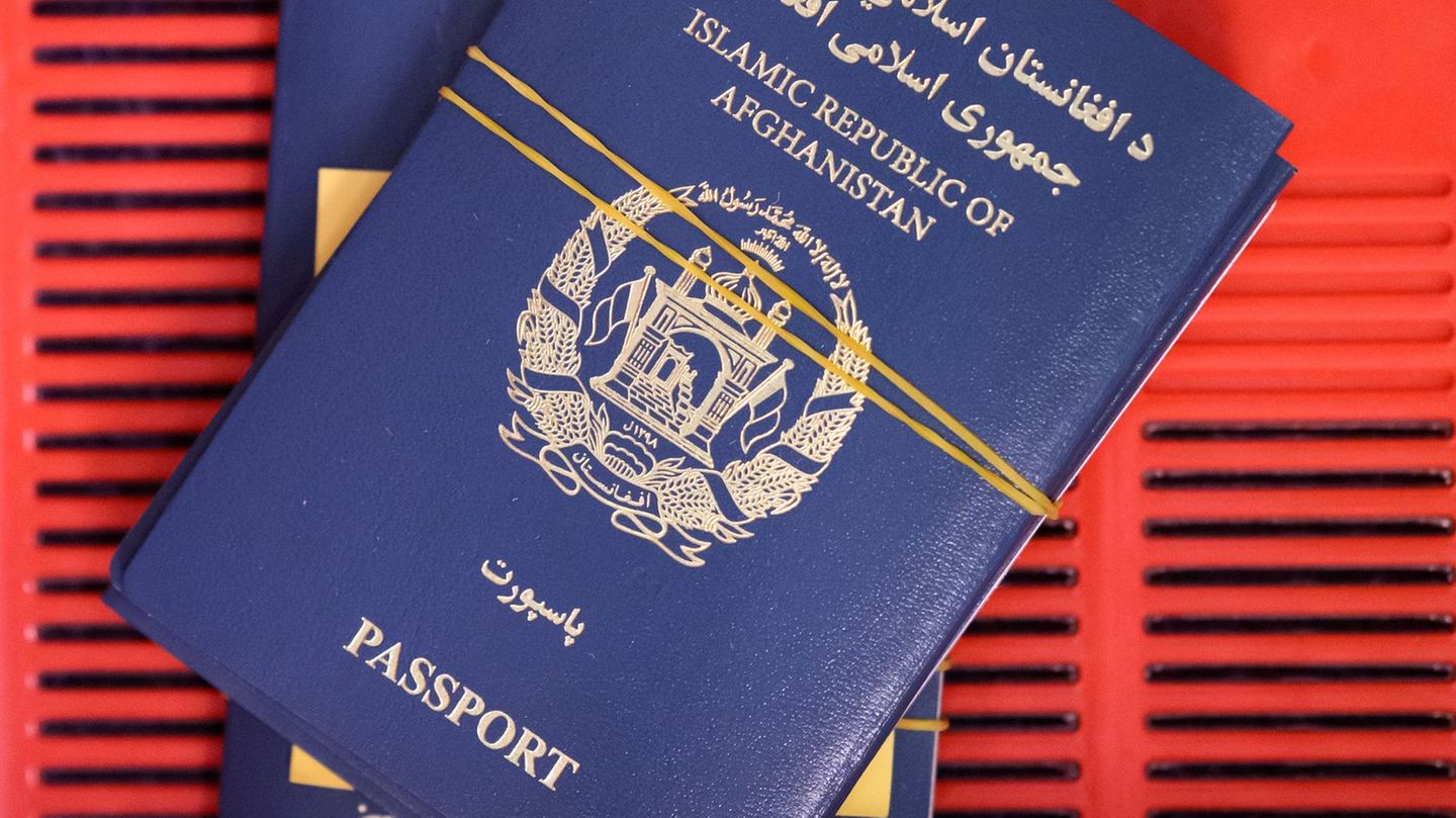 Kritiker warnen vor der Übernahme sensibler Daten Foto: Bernd von Jutrczenka/dpa