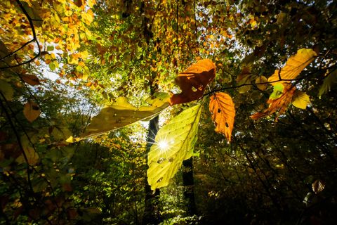 Im Laufe der Woche sind mancherorts Temperaturen bis 20 Grad möglich Foto: Julian Stratenschulte/dpa