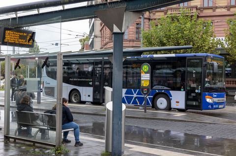 Busse sind insbesondere in Rheinland-Pfalz ein wichtiges Rückgrat des ÖPNV. (Archivfoto) Foto: Helmut Fricke/dpa