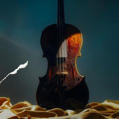 Ein Geige im Halbschatten