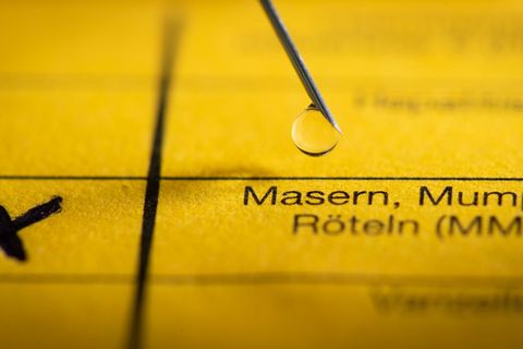 Inzwischen sind mehr als zwei Dutzend Fälle bekannt. (Symbolbild) Foto: Friso Gentsch/dpa