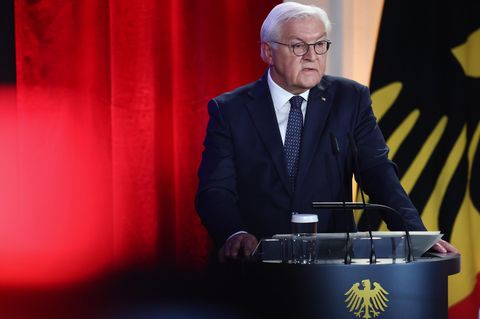 Frank-Walter Steinmeier am Rednerpult