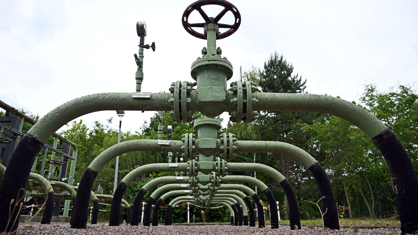 Thüringens Energieminister Tilo Kummer und Gasnetzbetreiber befürworten eine gezielte Förderung von grünem Wasserstoff. (Symbolb