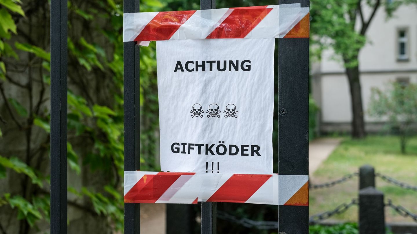 Tiere: 64-Jähriger soll Giftköder im Maintal ausgelegt haben