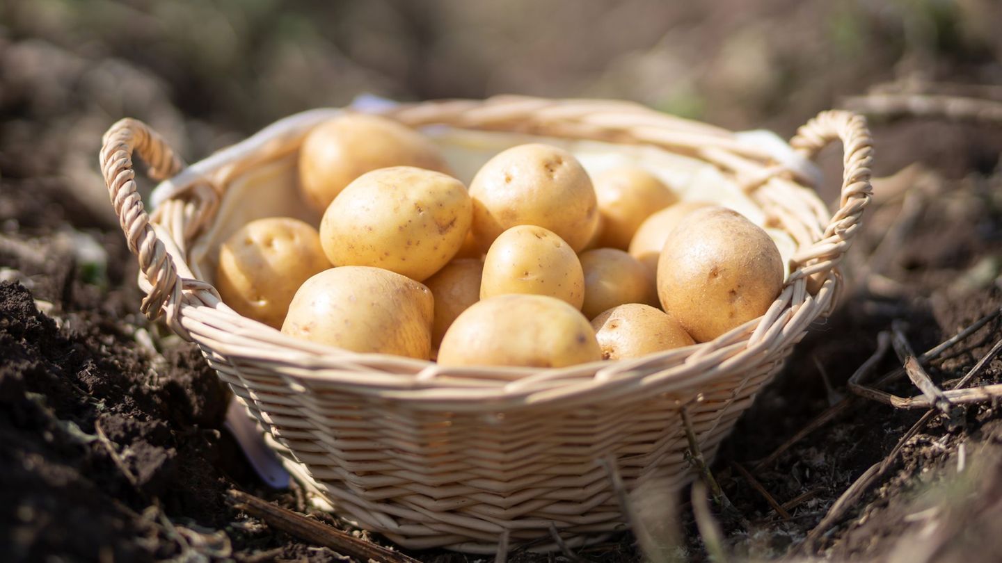 Fahndung: Polizei: Ein paar Kilo Kartoffeln für mehrere tausend Euro