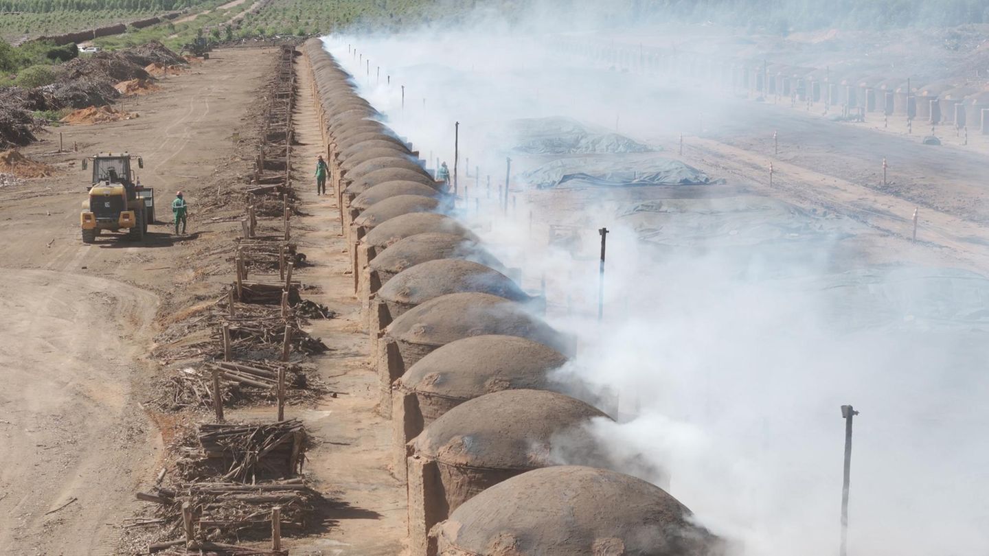 Daniel Harrich und sein TeamIn stoßen inmitten des brasilianischen Waldgebietes auf Holzkohle-Mailer
