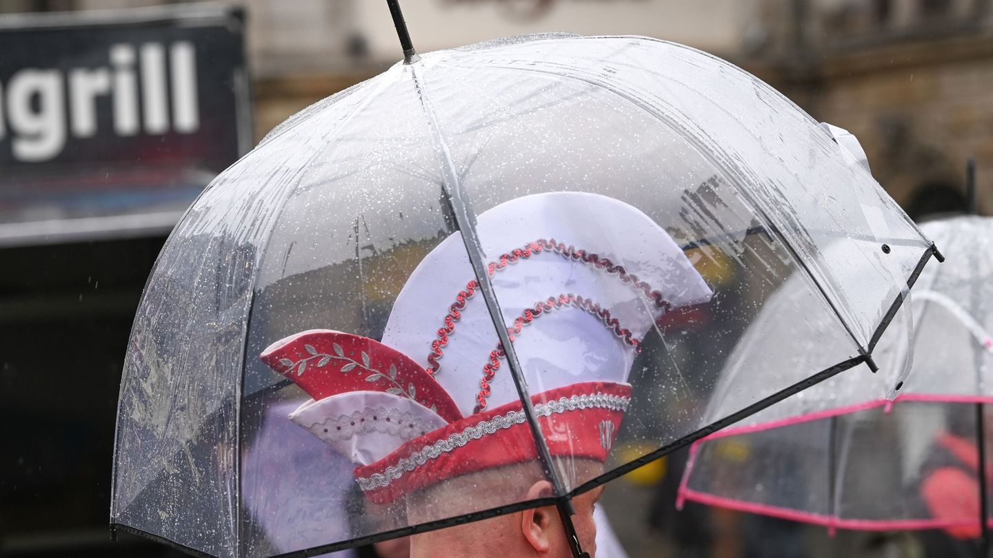 Narrinen und Narren eröffnen in Sachsen-Anhalt die Karnevalssaison. (Archivbild) Foto: Heiko Rebsch/dpa