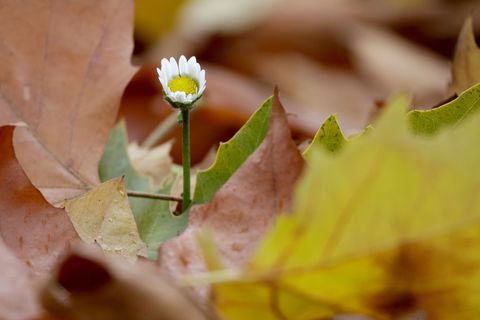 Am Donnerstag könnte die 20-Grad-Marke geknackt werden. Foto: Thomas Warnack/dpa