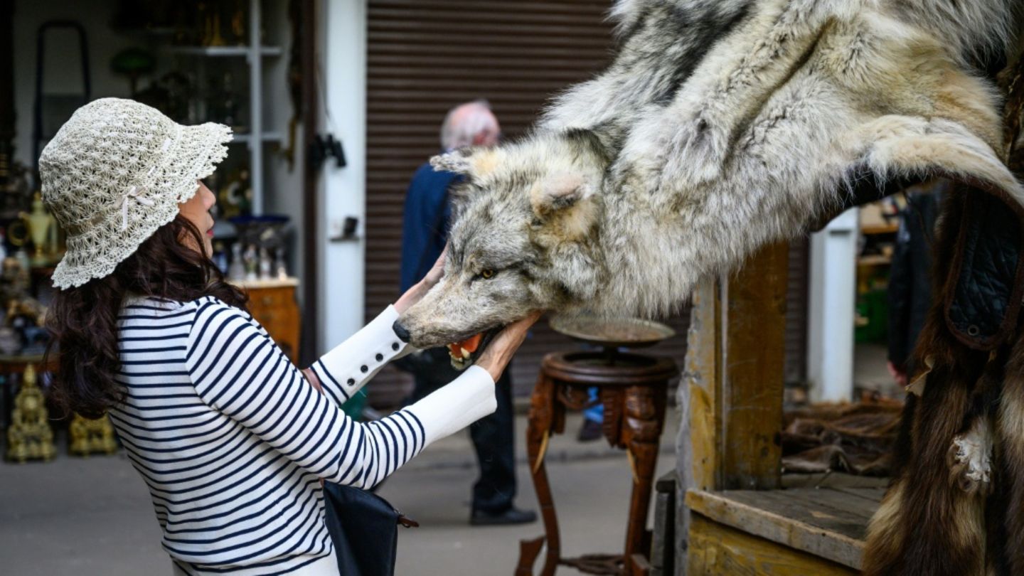 Frau mit Wolfsfell auf Markt
