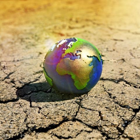 Hitze, Dürren, Starkregen, Stürme, Überschwemmungen: Der Klimawandel hat viele Gesichter