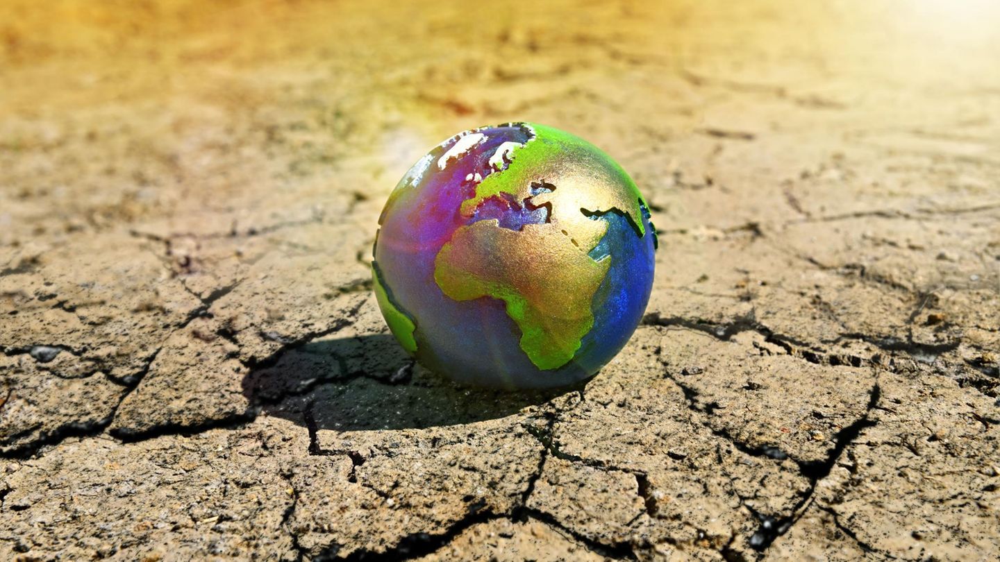 Hitze, Dürren, Starkregen, Stürme, Überschwemmungen: Der Klimawandel hat viele Gesichter