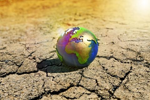 Hitze, Dürren, Starkregen, Stürme, Überschwemmungen: Der Klimawandel hat viele Gesichter