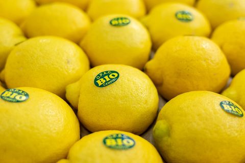 Bei vielen Verbrauchern sind Bio-Lebensmittel beliebt. (Symbolbild) Foto: Daniel Karmann/dpa