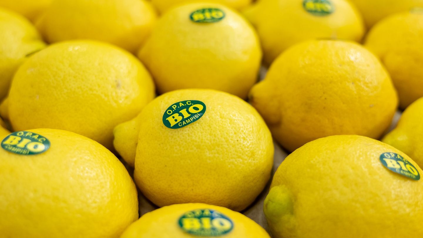 Bei vielen Verbrauchern sind Bio-Lebensmittel beliebt. (Symbolbild) Foto: Daniel Karmann/dpa