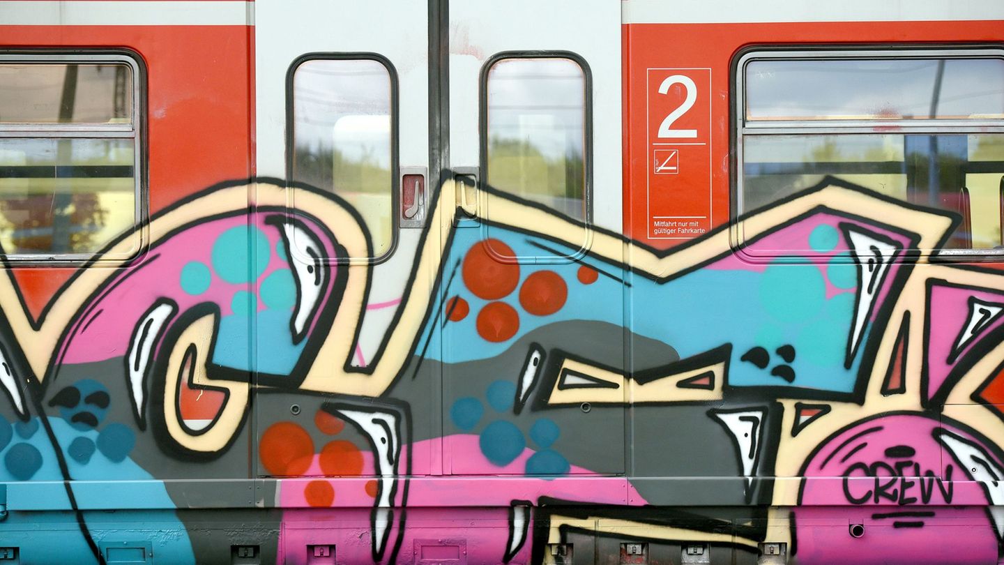 Ein Regionalzug der Deutschen Bahn ist großflächig von Unbekannten besprüht worden. (Illustration) Foto: Henning Kaiser/dpa