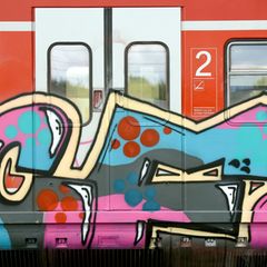 Ein Regionalzug der Deutschen Bahn ist großflächig von Unbekannten besprüht worden. (Illustration) Foto: Henning Kaiser/dpa